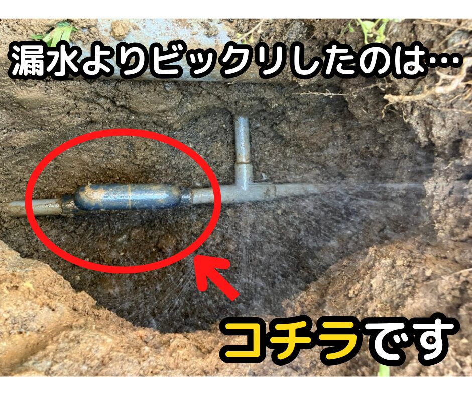 記事サムネイル