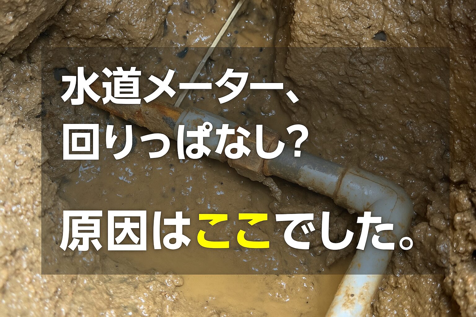 記事サムネイル