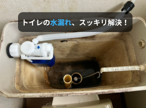 記事サムネイル