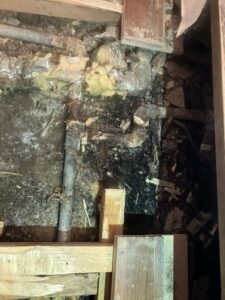 床下開口後の鉄管配管と漏水範囲の状況（継手まわり腐食による漏水）