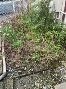 地面の一部だけが湿っている様子（給水管の水漏れの可能性）